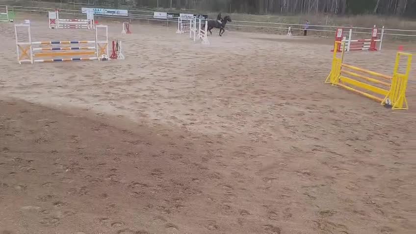 Hoppning hästar till salu: Högklassig Svart 4 årshingst - Video 1