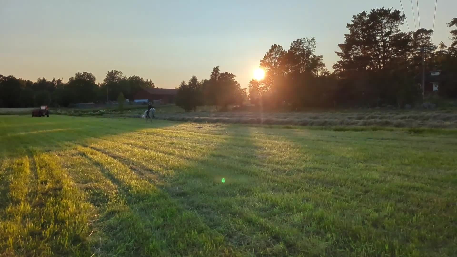 Allround hästar till salu: Pigg allroundponny  - Video 4