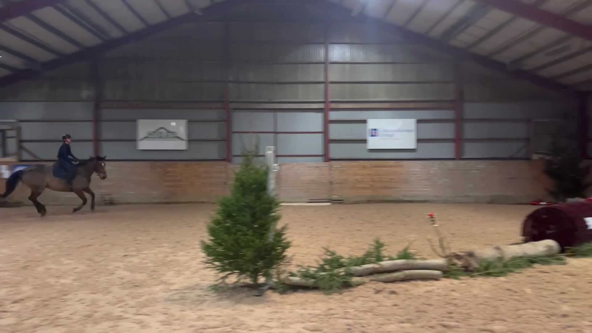 Hoppning hästar till salu: Perfekta mor/dotter hästen/bästa kompis - Video 2