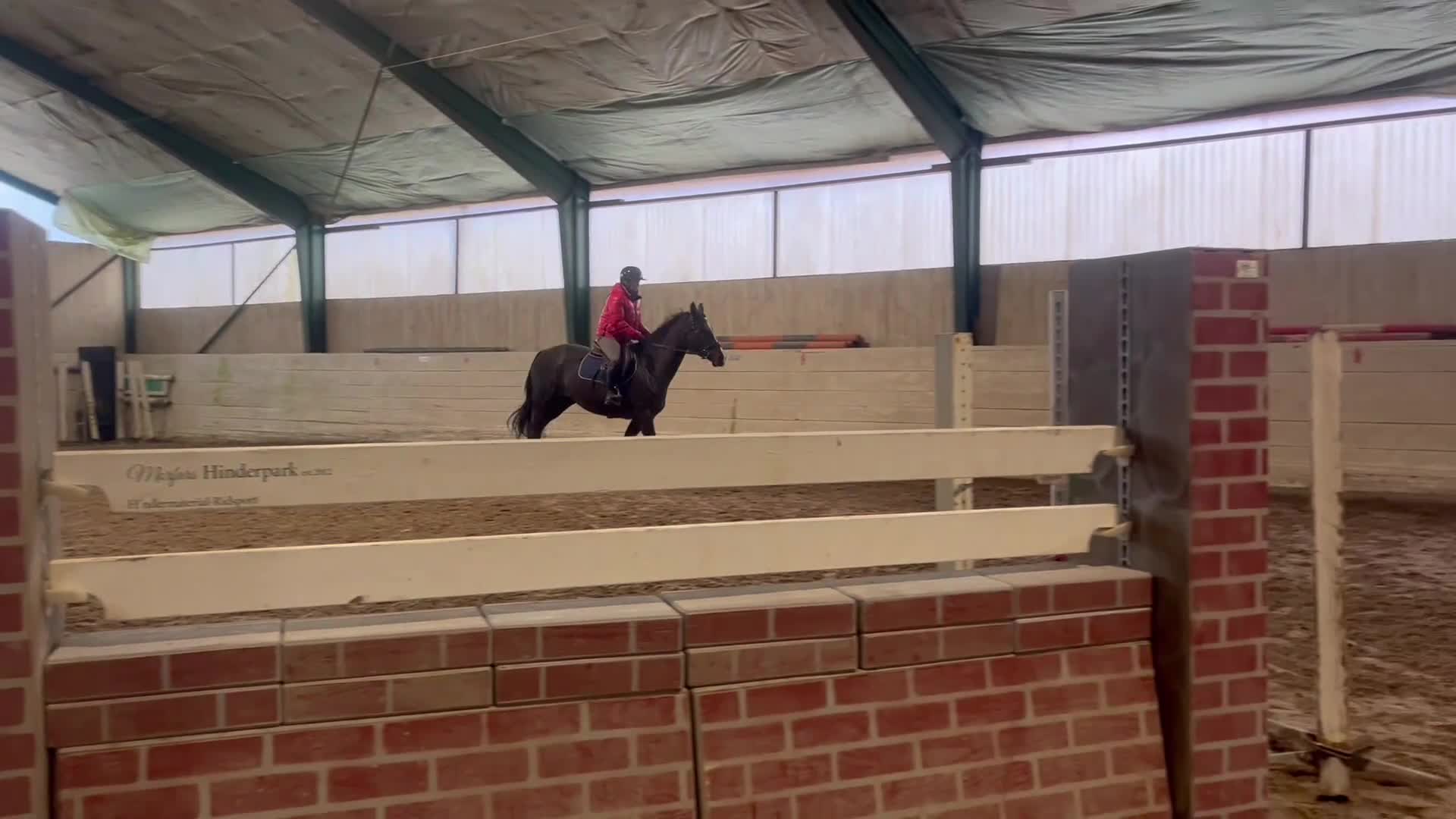 Allround hästar till salu: Trevligt sto f 21 e:Diero lux N - Video 1