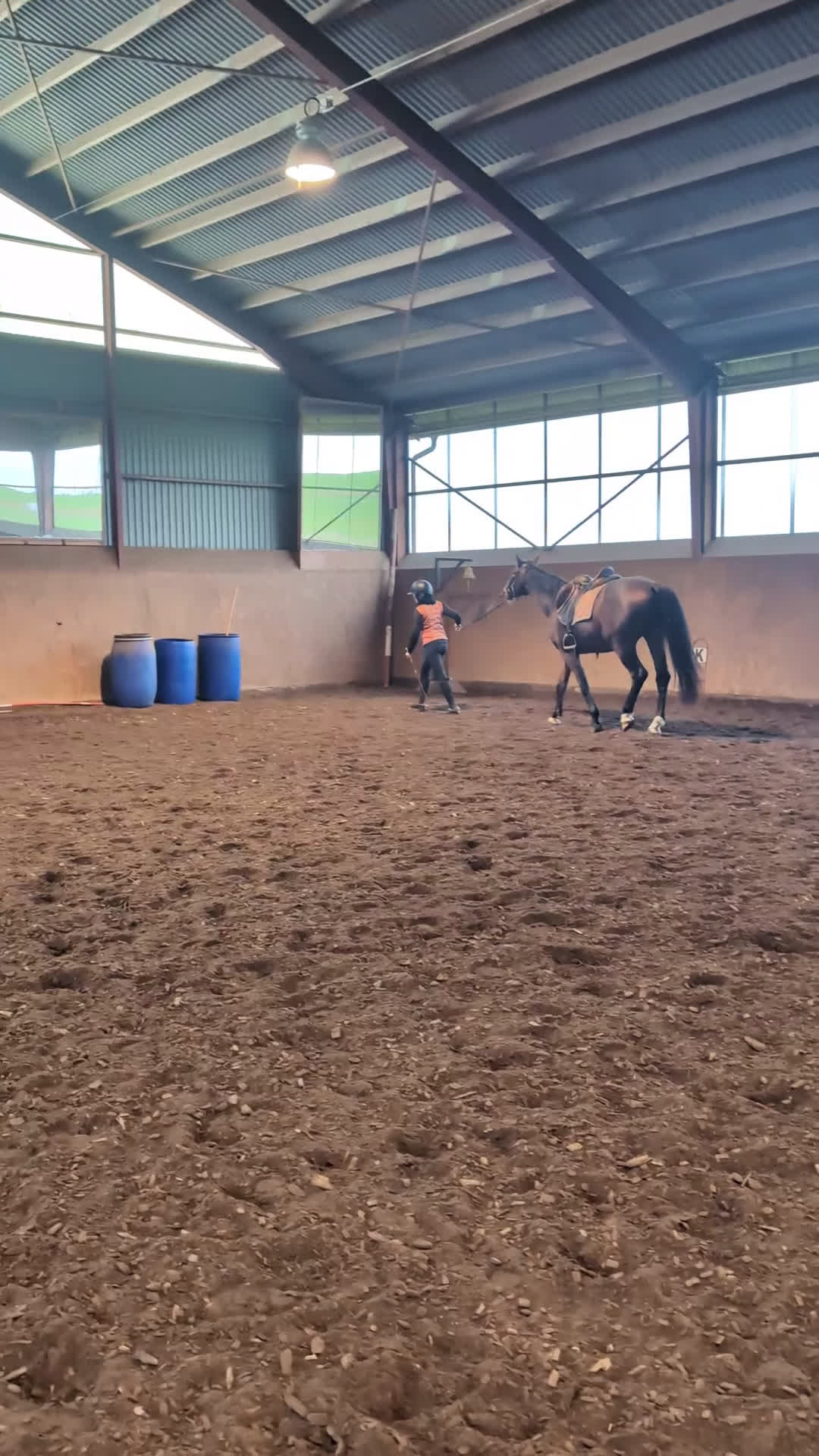 Dressyr hästar till salu: Dressyr val som hoppar bra 🌸 fälttävlan? i Tomelilla - Video 1