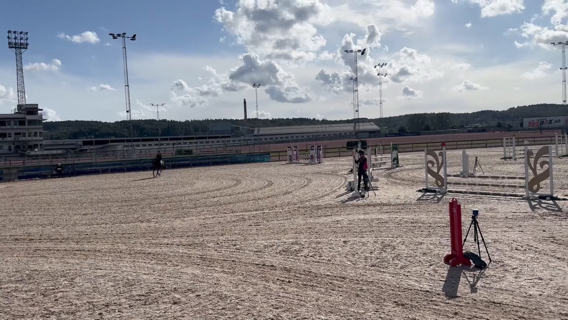 Hoppning hästar till salu: B-ponny med kapacitet  - Video 1