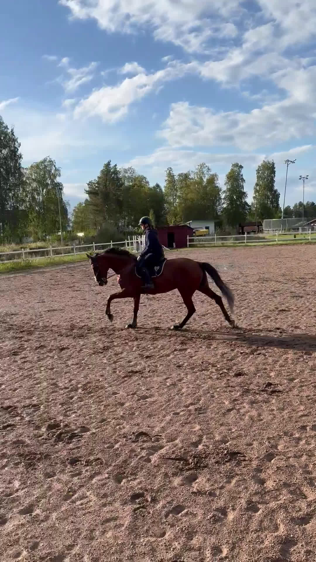 Allround hästar till salu: Din nya bästa vän  i Mora - Video 2