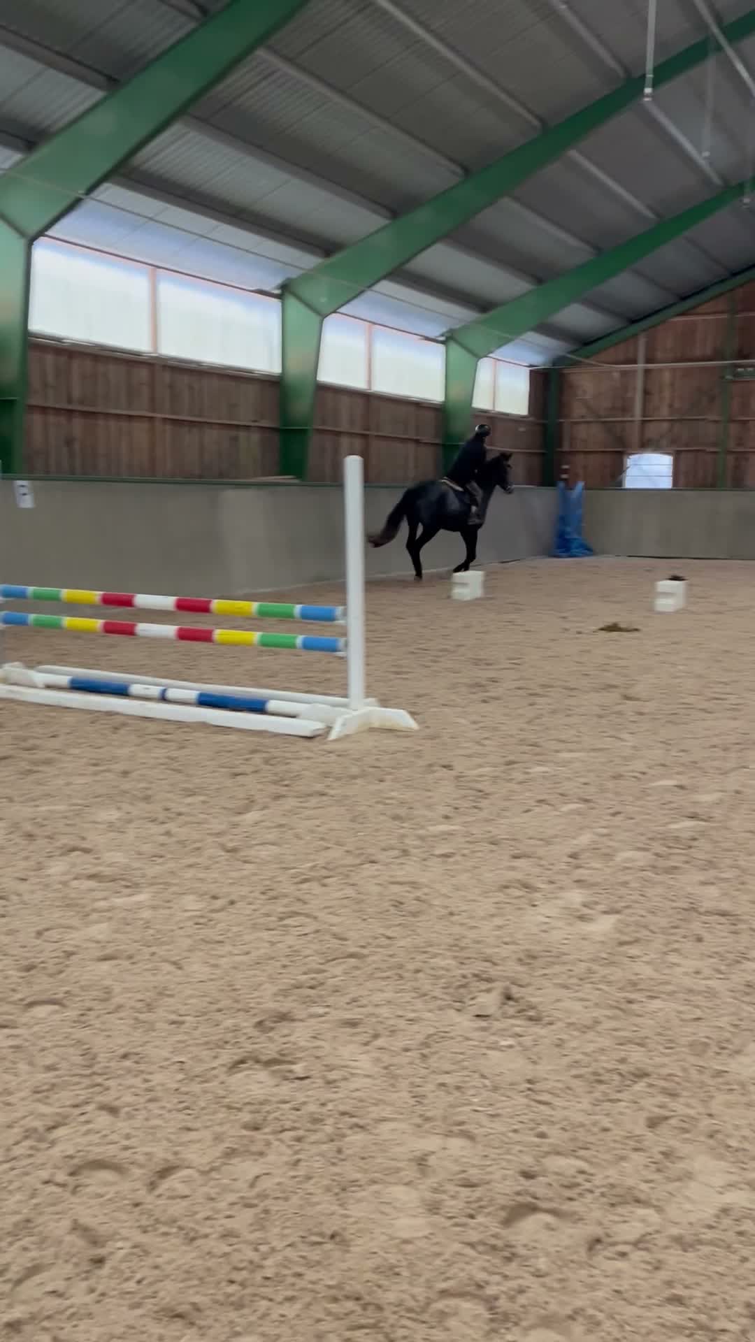 Hoppning hästar till salu: Fantastiskt trevligt sto! - Video 1