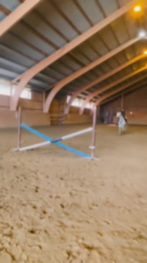 Hoppning hästar till salu: Snäll maxad D-ponny med kapacitet 🦄 - Video 2