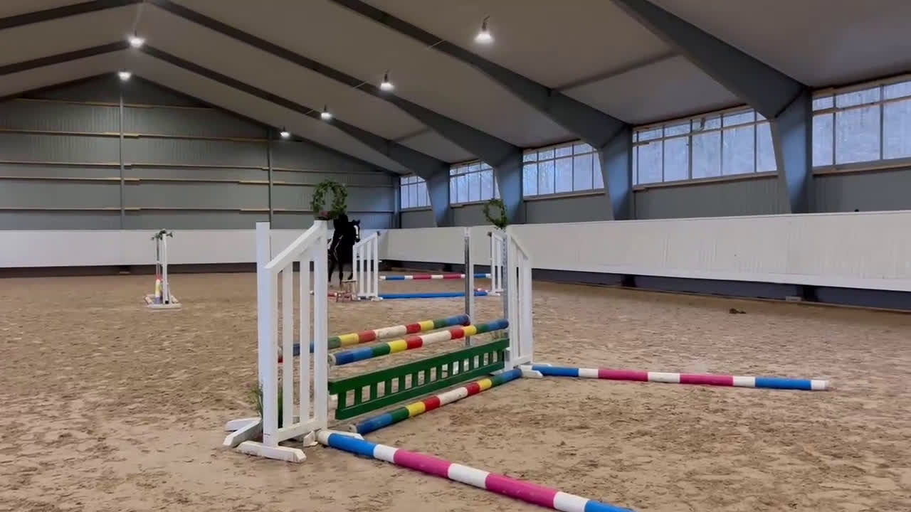 Fälttävlan hästar till salu: Snygg 3-åring, hopp/fälttävlan e. Cannobio - Video 5