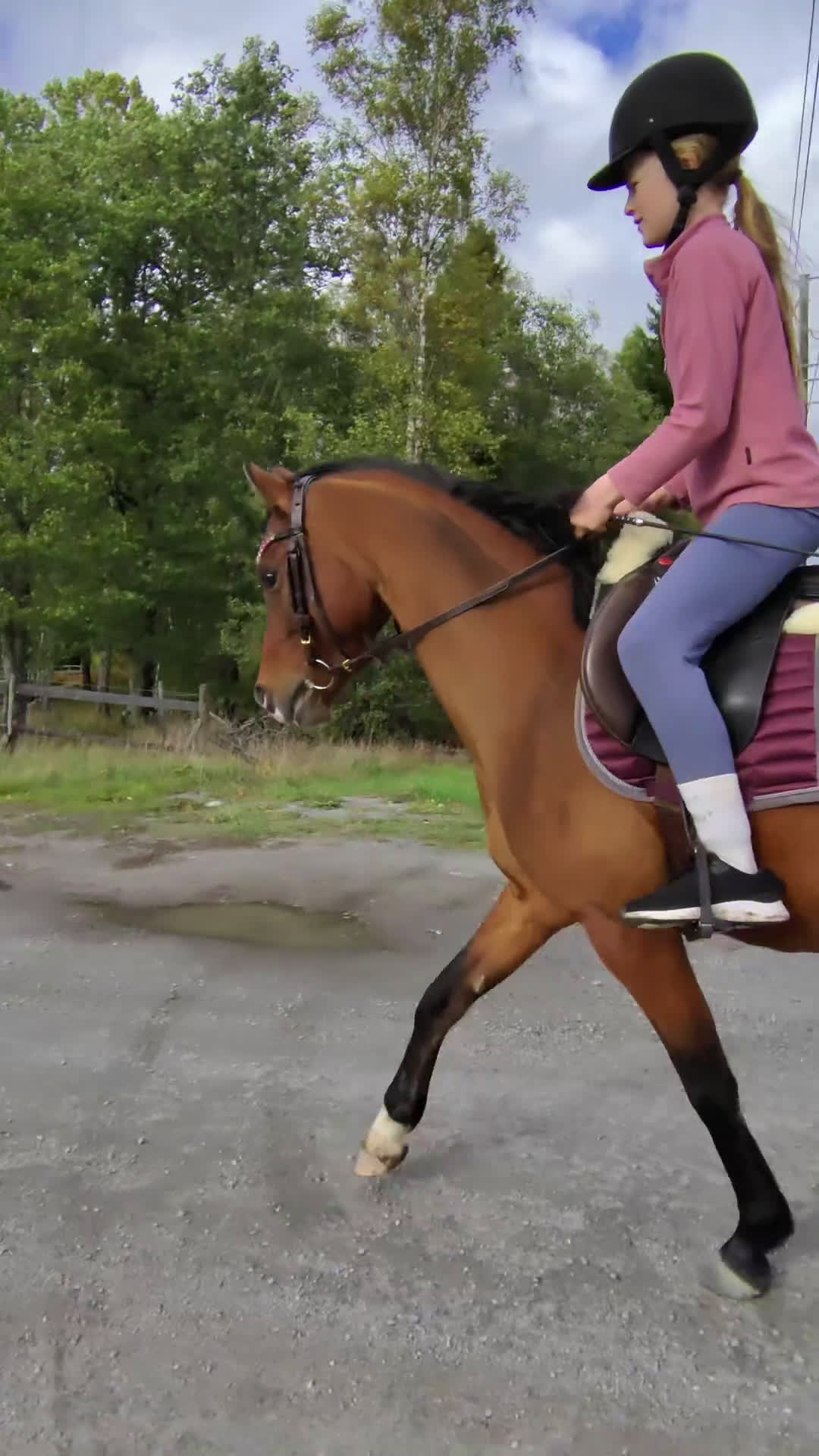 Allround hästar sökes: Ponny köpes! - Video 4