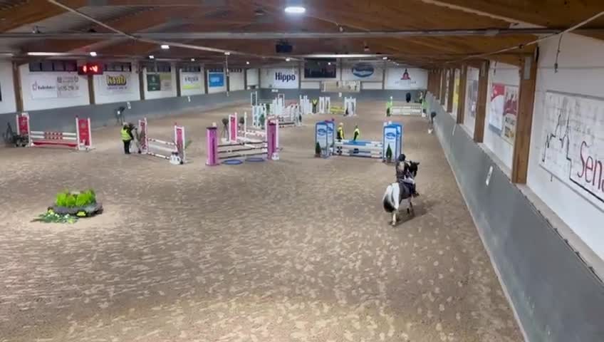 Hoppning hästar till salu: ❤️Skye❤️ - Video 1