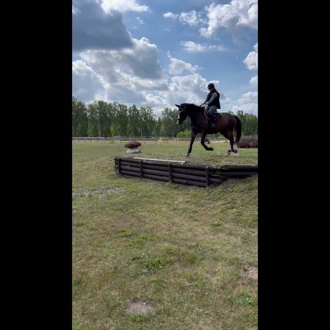 Allround hästar till salu: Härligt sto för hoppning eller fälttävlan 🌟 i Eslöv - Video 1