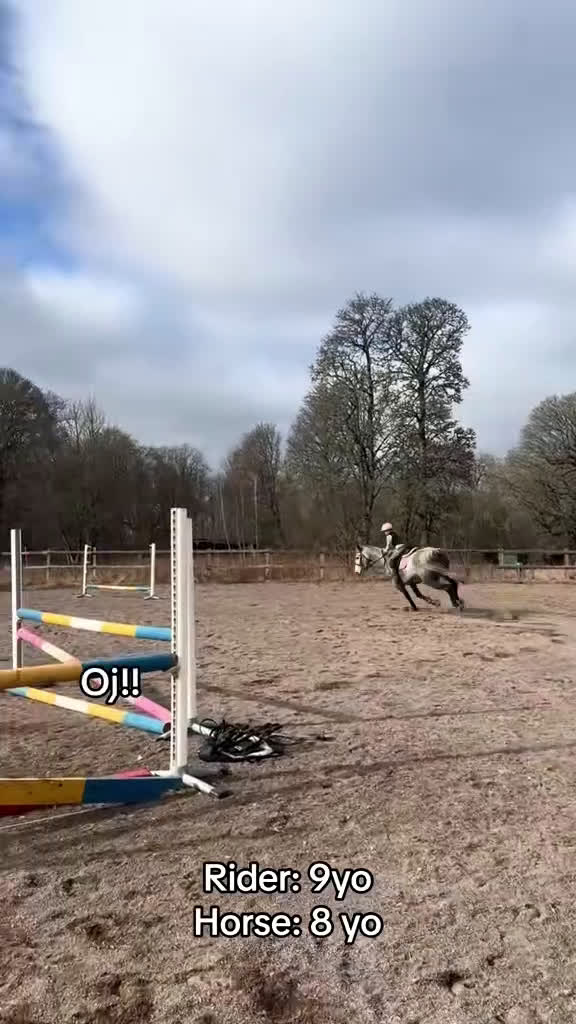 Hoppning hästar till salu: Kapabelt sto e Clinton II i Rottne - Video 3