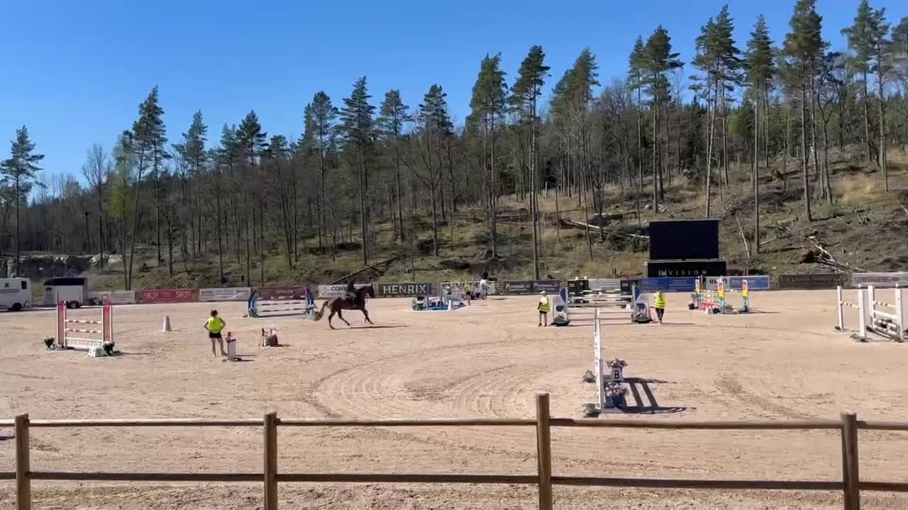 Hoppning hästar till salu: 2018 e: Justice HL, 130 nivå i Nybro - Video 1