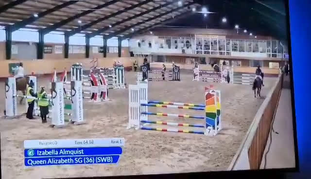 Hoppning hästar till salu: Vacker valack för valfri gren i Broby - Video 1