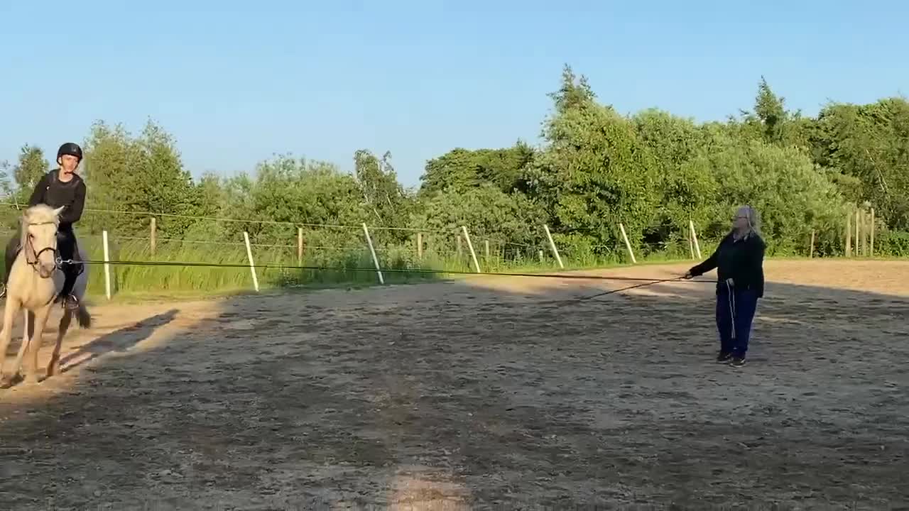 Allround hästar till salu: Unghäst korsning islandshäst/halvblod/fullblod i Trelleborg - Video 2