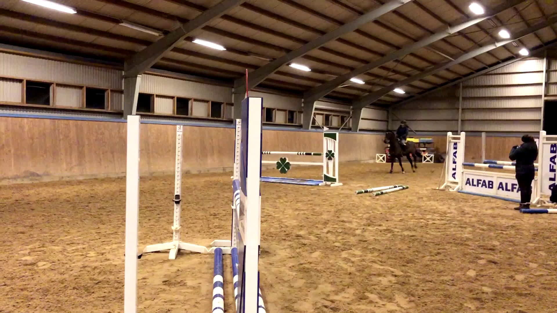 Allround hästar till salu: Fynda projekthäst - Video 2