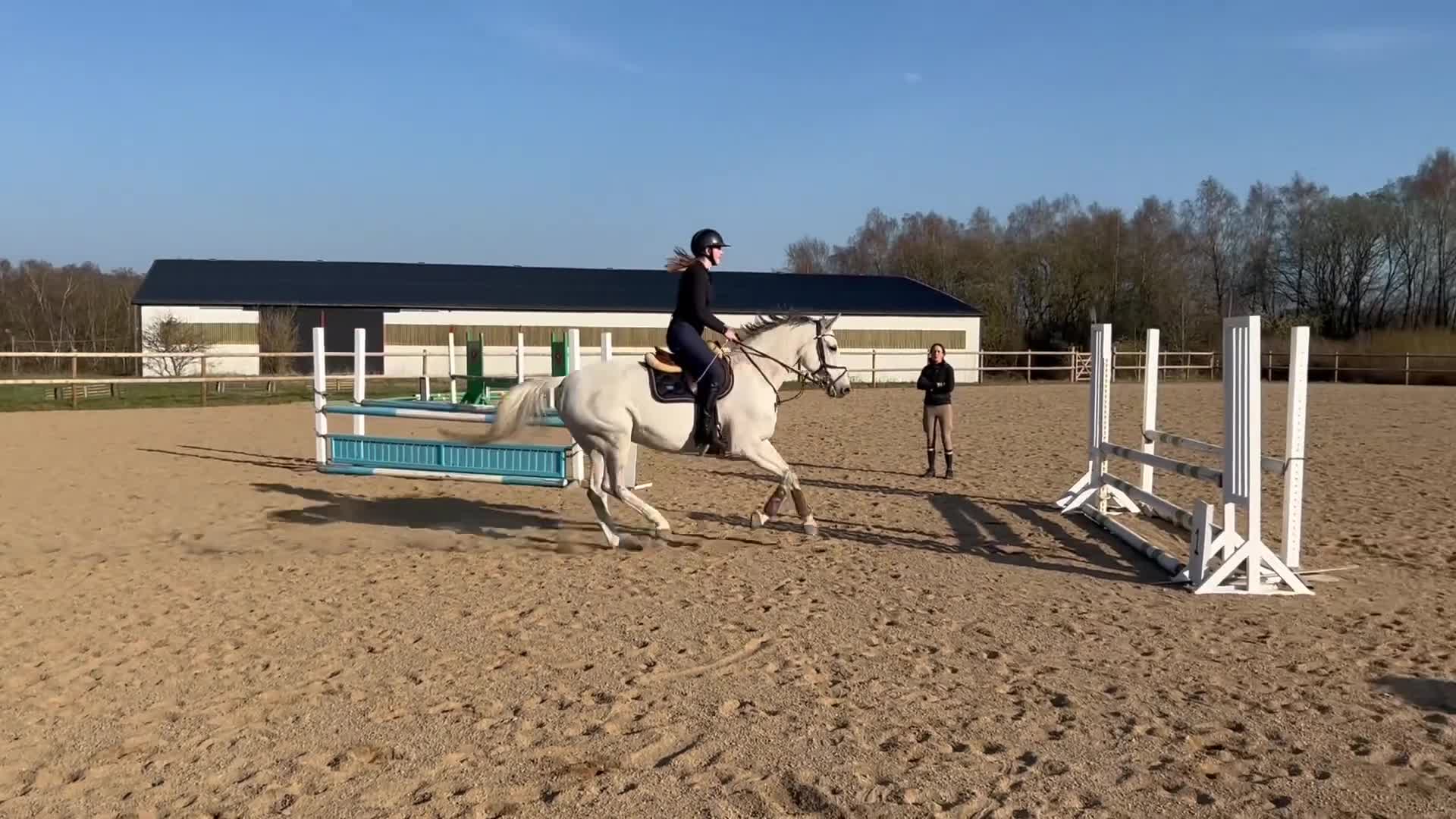 Allround hästar till salu: Perfekt läromästare/ Mor/dotter  i Billesholm - Video 2