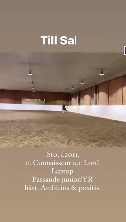 Dressyr hästar till salu: Ettåring för dressyr med trevlig mekanik i Aspås - Video 3