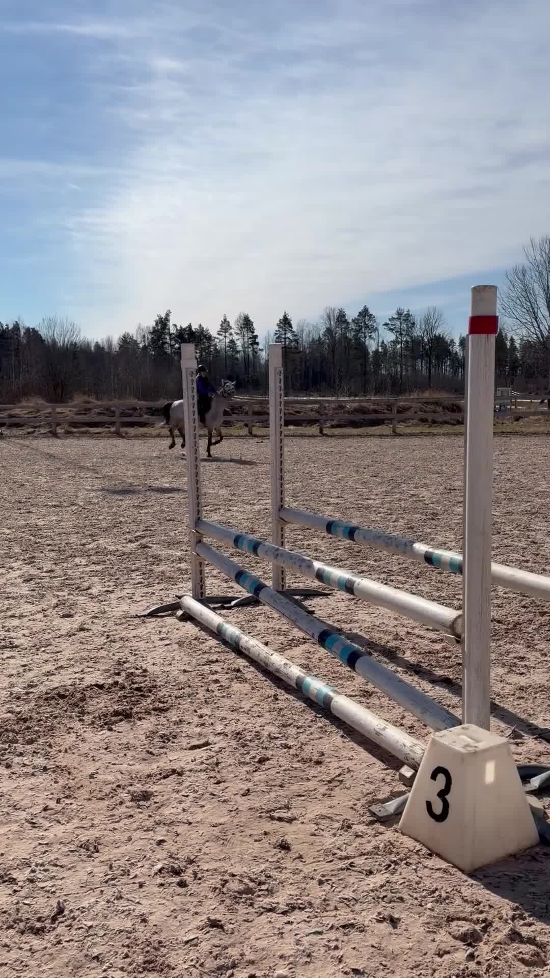 Hoppning hästar till salu: Lovande tävlingsponny med det största hjärtat i Köping - Video 2