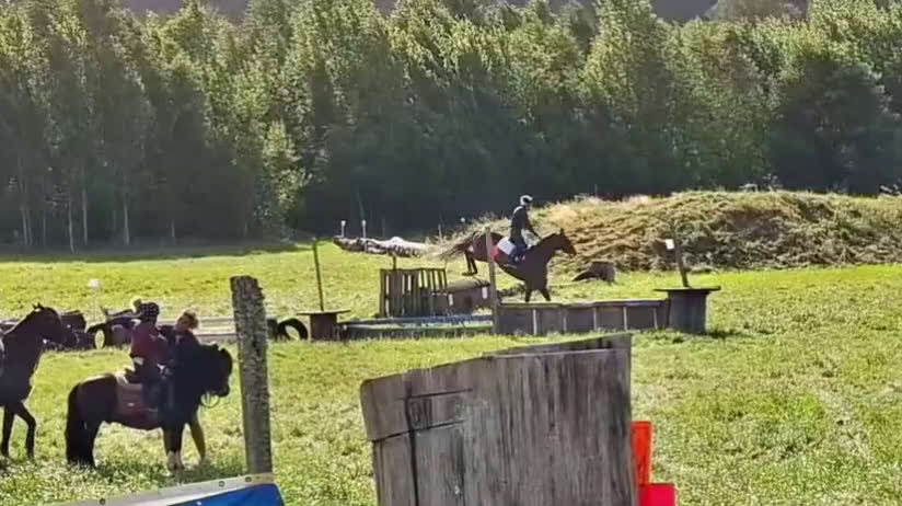 Allround hästar till salu: Glad kille med energi  i Kungälv - Video 3