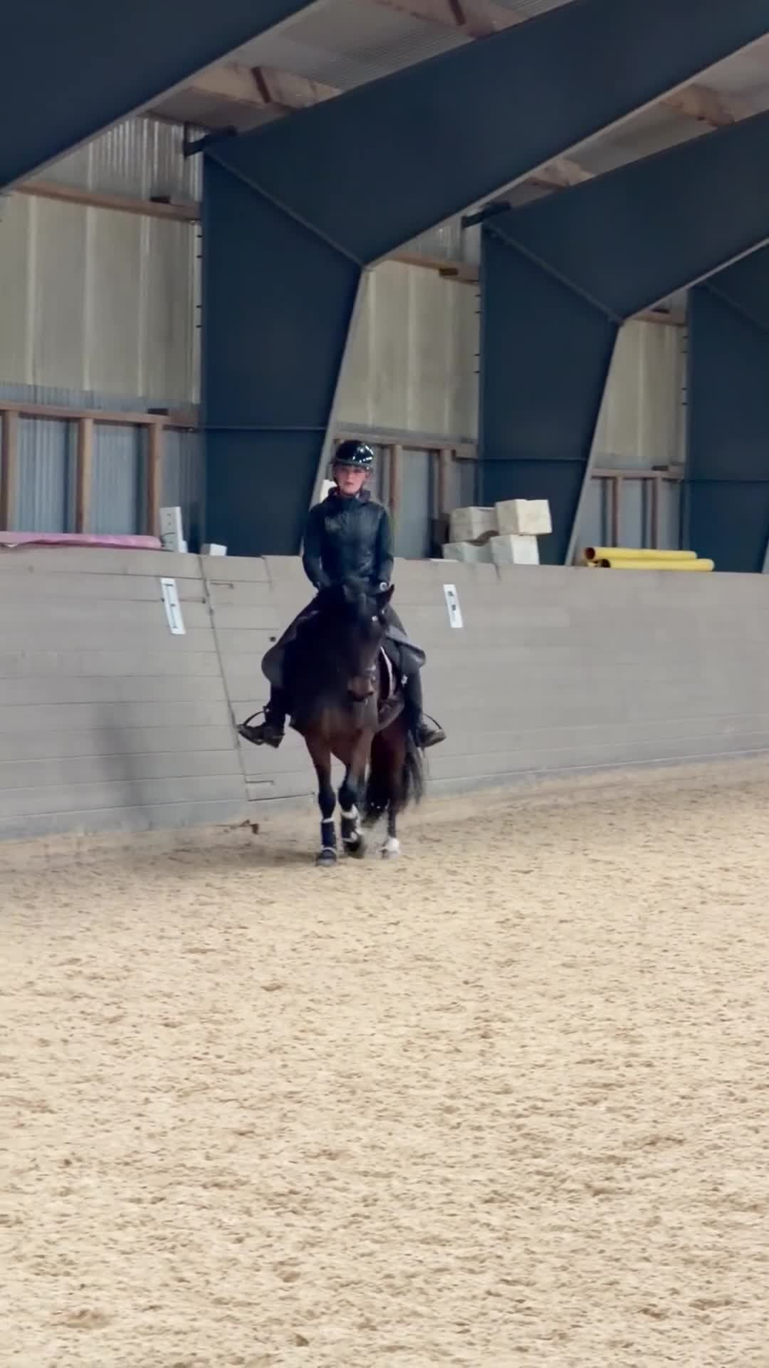 Dressyr hästar till salu: Älskad C-ponny med kvalitet och personlighet 🌟 - Video 2