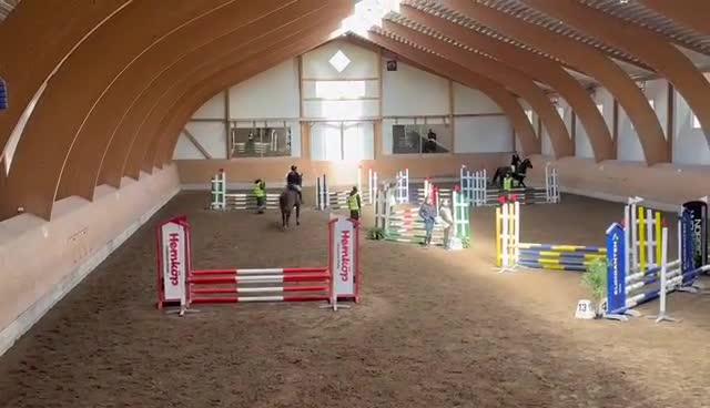 Allround hästar till salu: Häftigt Sto - Video 4