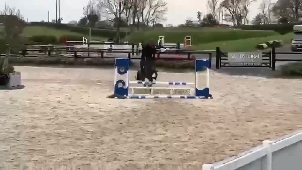 Allround hästar till salu: Härligt sto  - Video 1