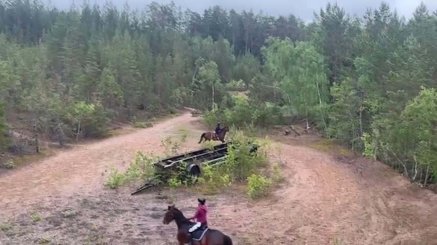 Allround hästar till salu: Bästa vän till rutinerad ryttare i Rimbo - Video 3