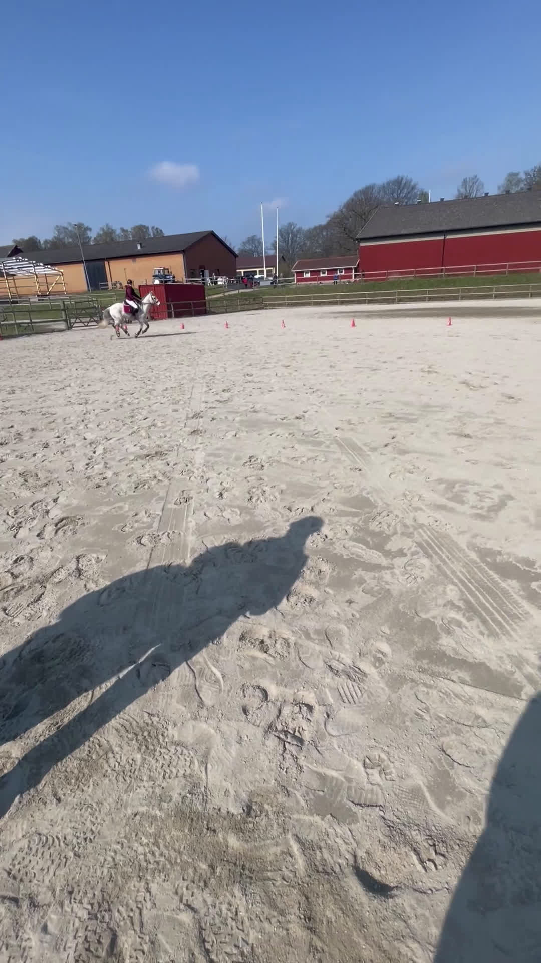 Allround hästar till salu: Fin Läromästare🌟 i Ronneby - Video 4