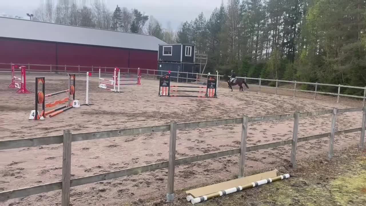 Hoppning hästar till salu: Drömponny med rutin och framtid ⭐️ - Video 1
