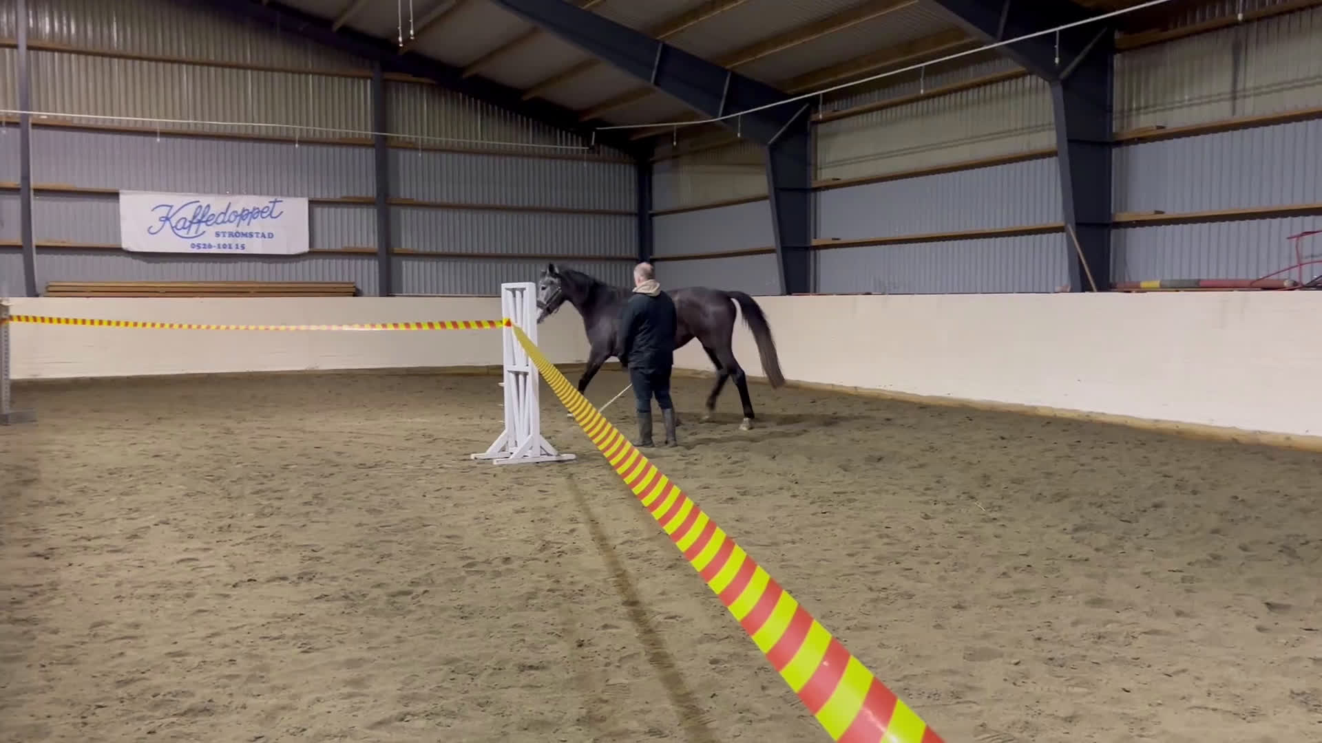 Hoppning hästar till salu: Känsligt och godhjärtat sto - Video 2