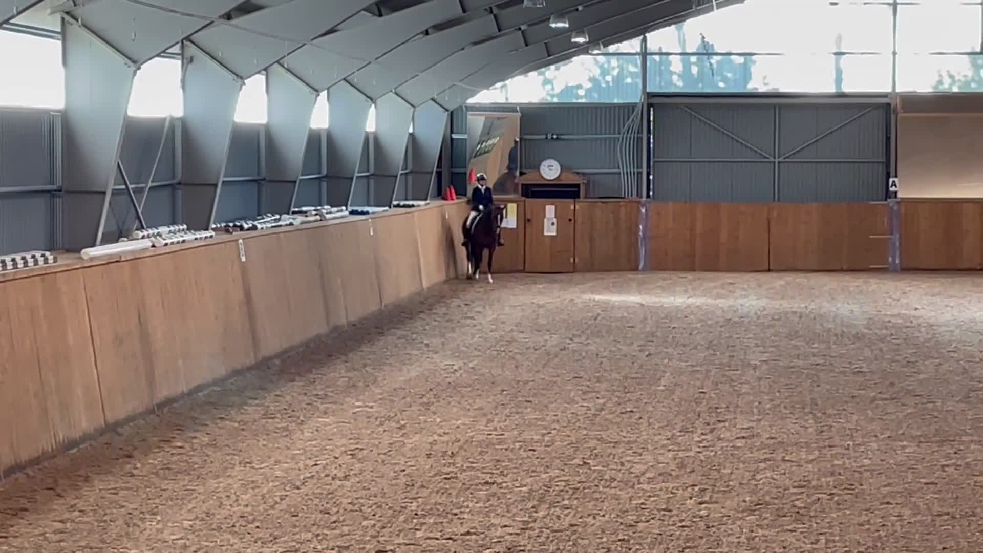 Dressyr hästar till salu: Fantastisk dressyrvalack  i Lärbro - Video 3