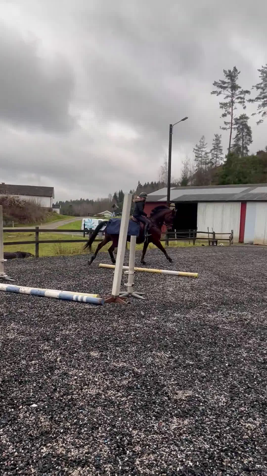 Hoppning hästar till salu: Energifylld valack för ryttare som vill mer 🌟 - Video 1