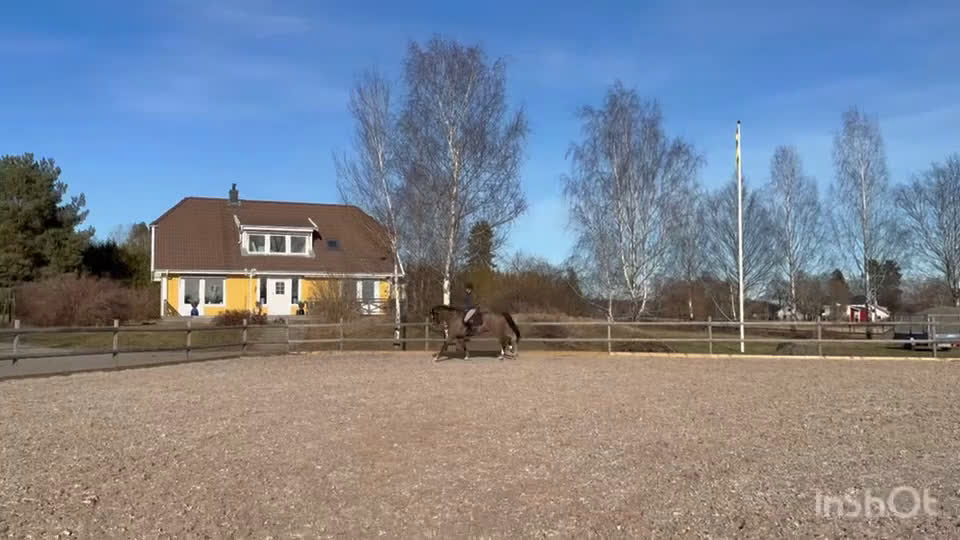 Hoppning hästar till salu: 10 år, E. Conthinder  i Ekerö - Video 2