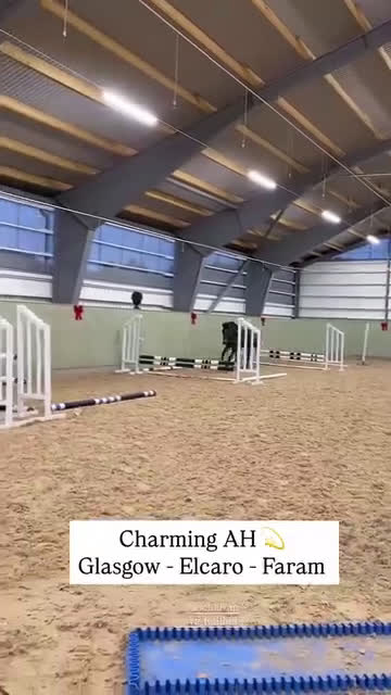 Allround hästar till salu: Swb valack 4år i Björnlunda - Video 1