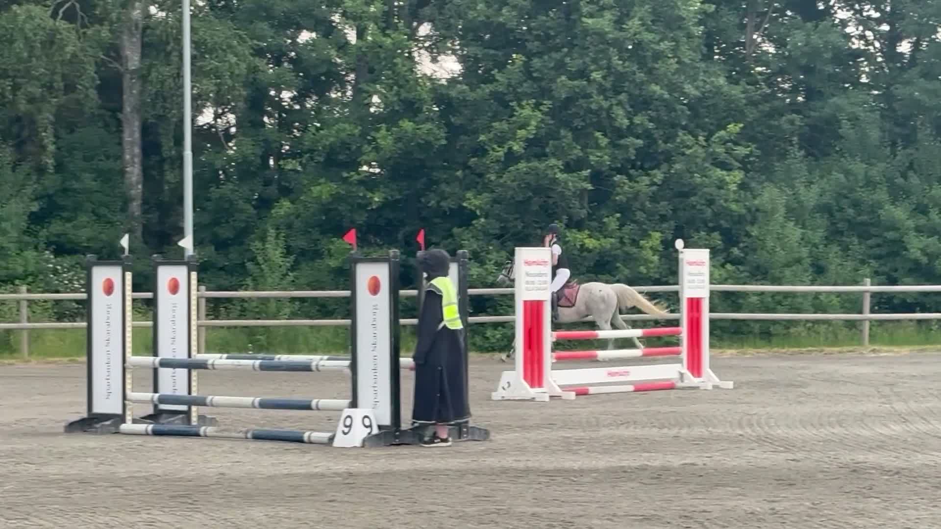 Allround hästar till salu: Fantastiskt ponnysto - Video 3