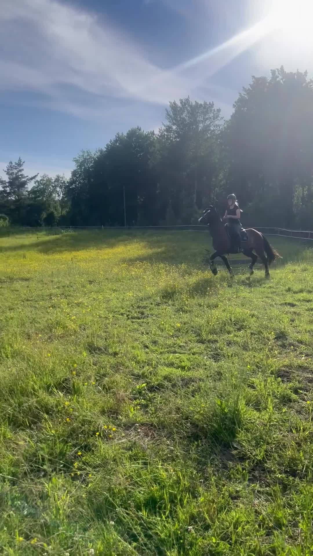  medryttarhäst finnes: Medryttare sökes till snäll valack - Video 2