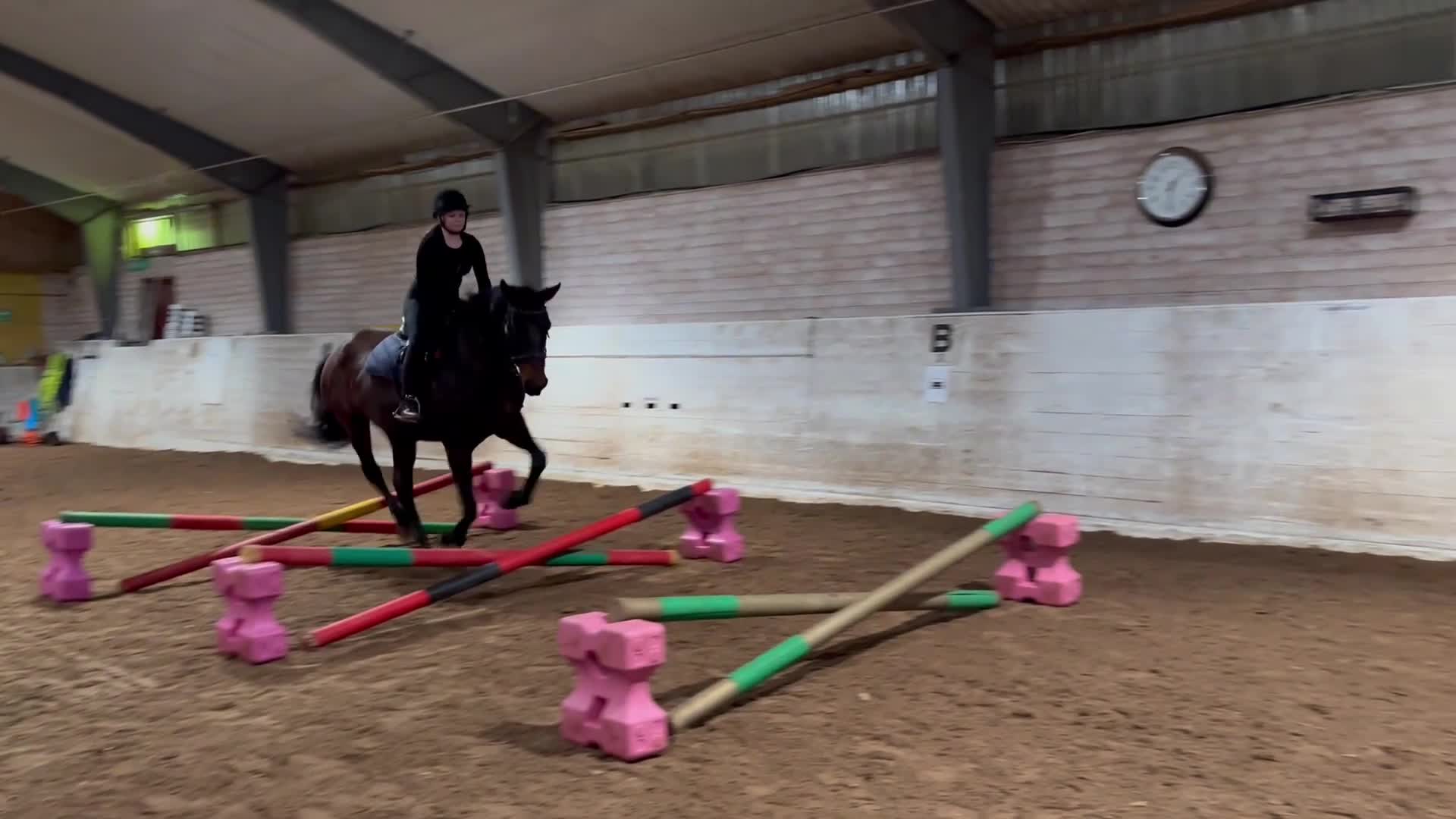  medryttarhäst sökes: Söker medryttar häst eller ponny i Uppsala - Video 3