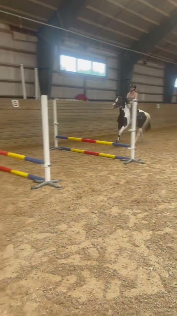 Hoppning hästar till salu: Lovande 4-årig Welsh Partbred med fina kvaliteter - Video 1