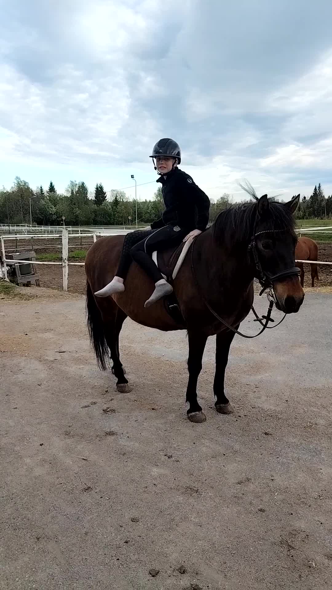 Övrigt hästar till salu: Skogsmullet Bullen - Video 1