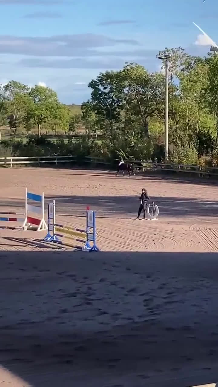 Hoppning hästar till salu: One in A million ponny🌟 i Färjestaden - Video 2