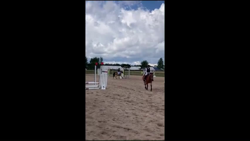 Hoppning hästar till salu: Maxad B-ponny i Valdemarsvik - Video 3