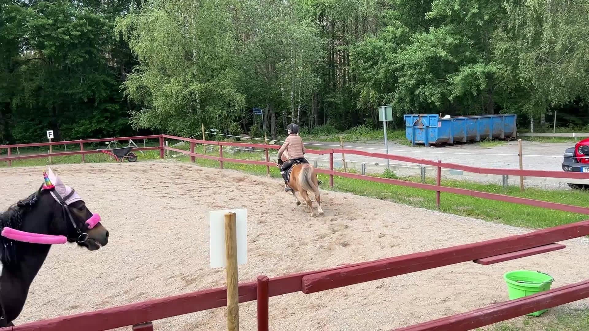  medryttarhäst sökes: Hästägare titta hit!!!❤️ I södra Stockholm!!!!❤️❤️ i Trångsund - Video 2