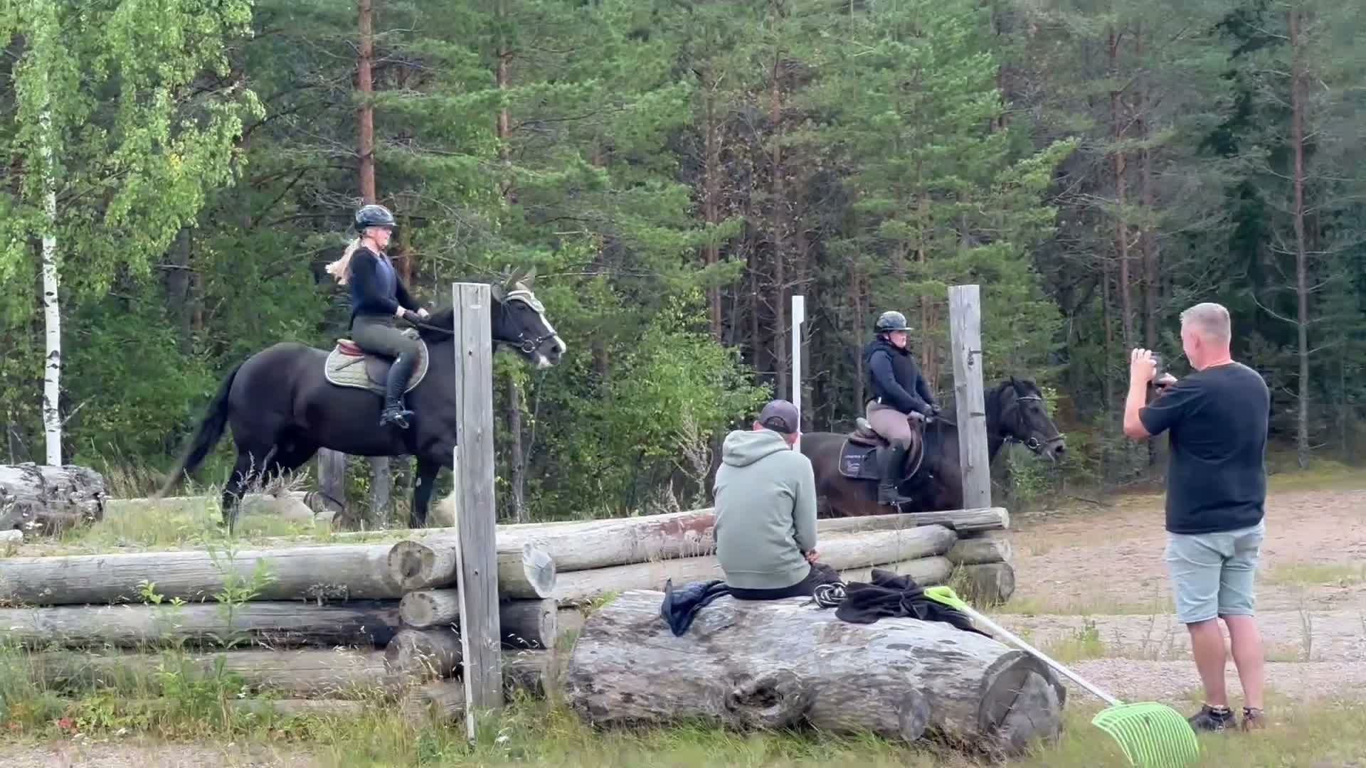 Allround hästar till salu: Mysig allround tjej  - Video 2