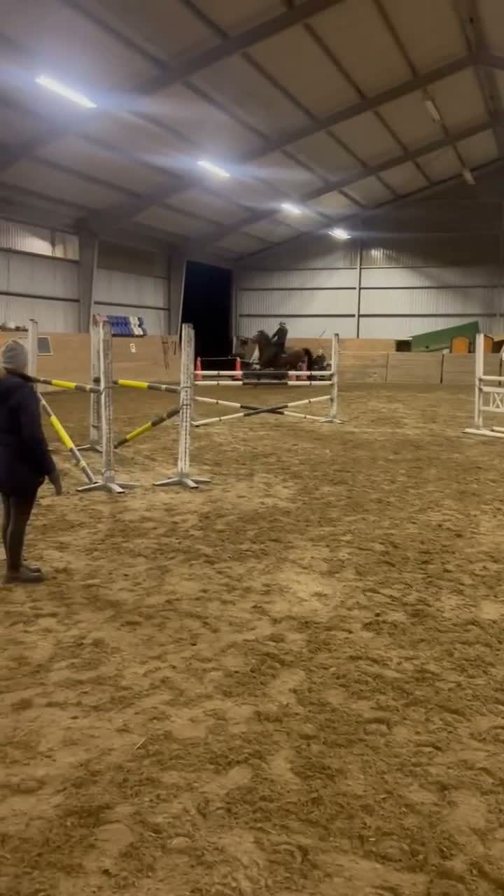 Hoppning hästar till salu: Personlig sto med stort hjärta - Video 5