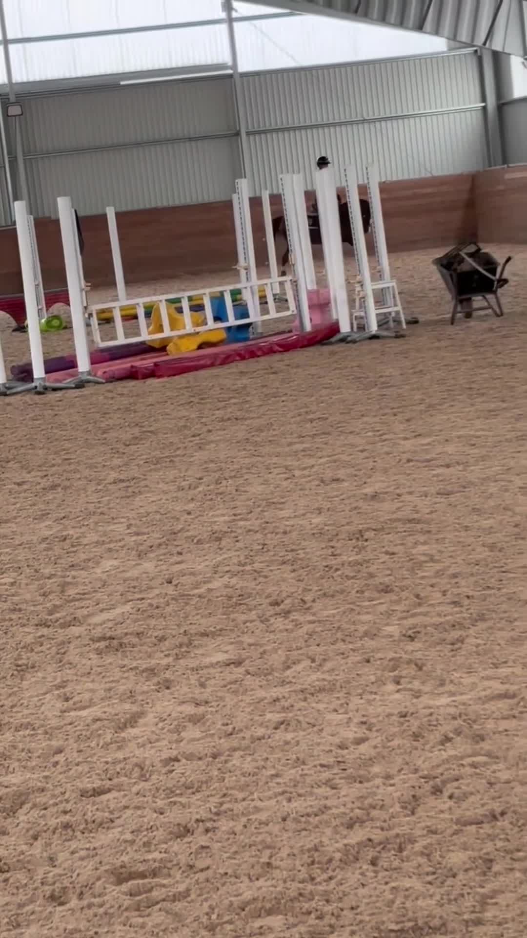 Allround hästar till salu: Lojal SWB ponny söker sin nya bästis💗 - Video 2