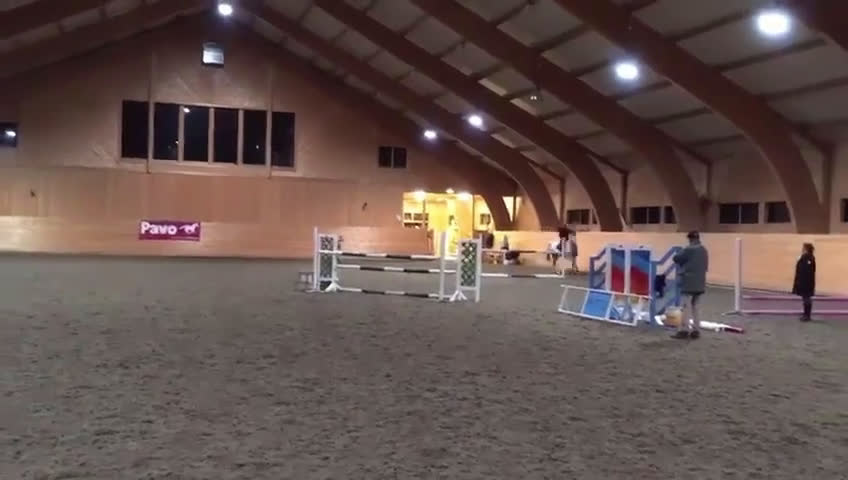 Hoppning hästar till salu: Nästa hoppstjärna  - Video 1