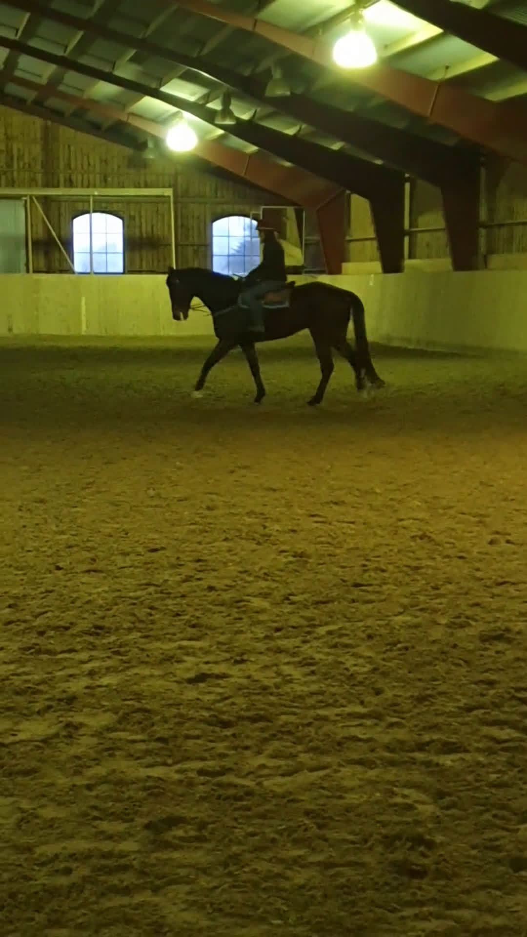 Allround hästar till salu: Snäll fullblodsvalack i Rimbo - Video 4