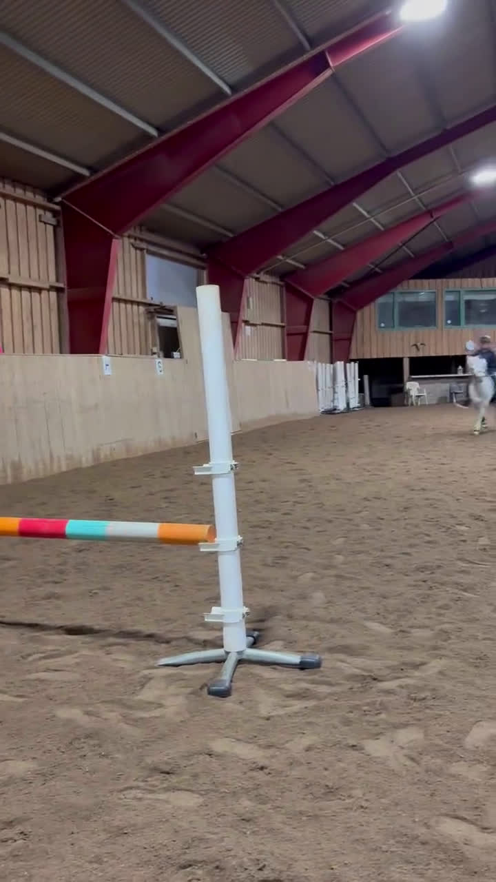  foderhäst sökes: Fodervärden/medryttare  - Video 2