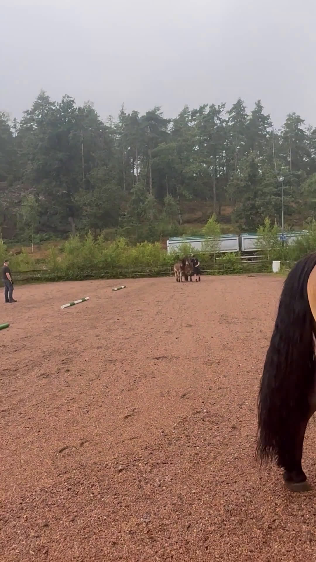 Körning hästar till salu: Dräktigt Elitsto samt Pigall 7 mån i Lilla Edet - Video 3