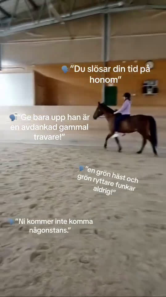  foderhäst finnes: Snällaste ridtravaren i Pajala - Video 1