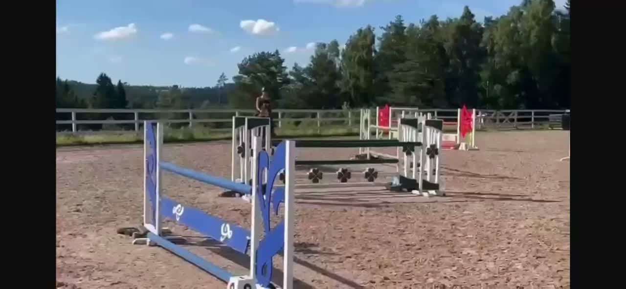 Hoppning hästar till salu: Okomplicerad och fin hopphäst  - Video 1